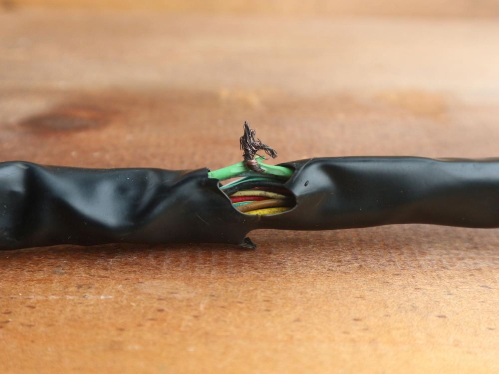 Cables rongés par les rongeurs