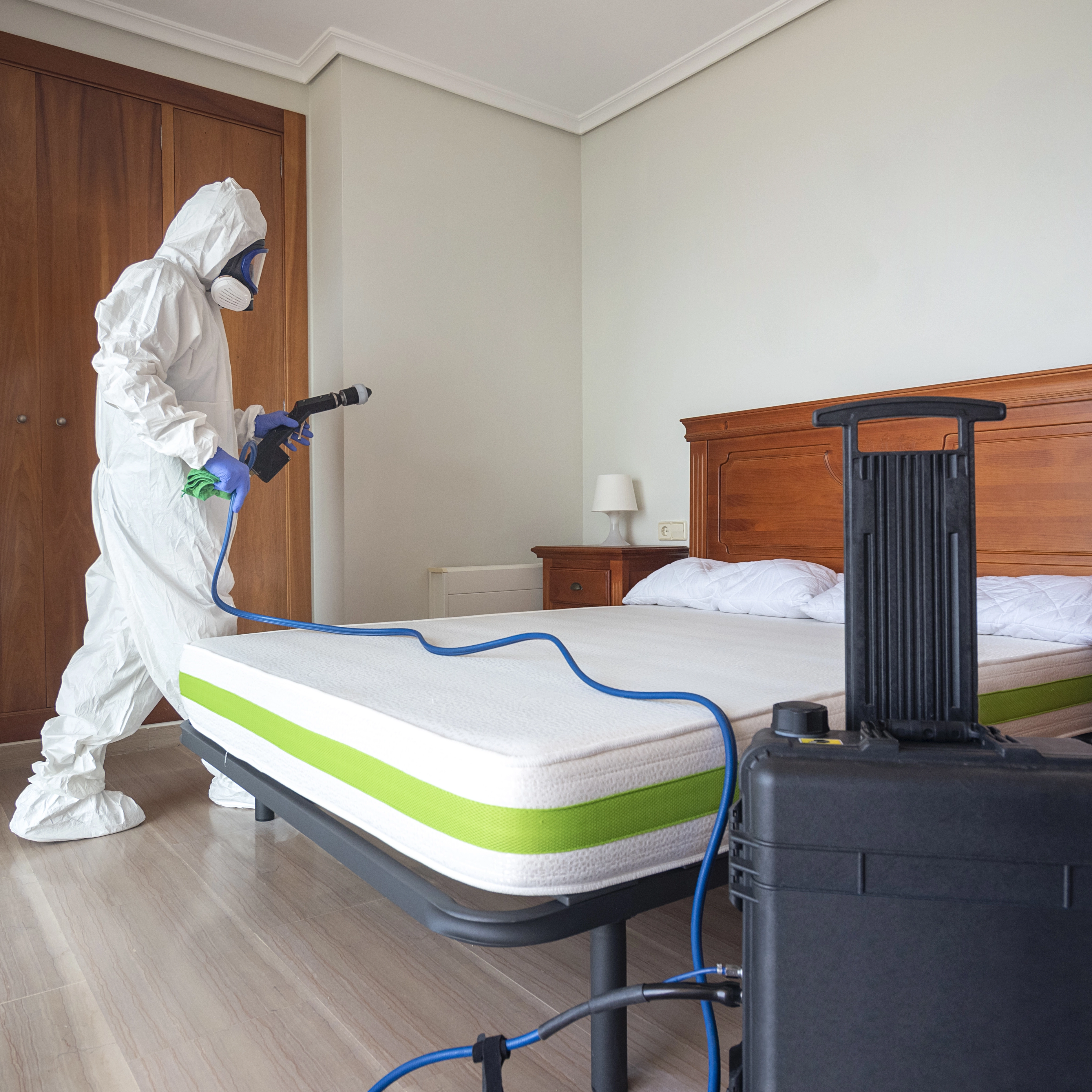 Traitement thermique contre les punaises de lit